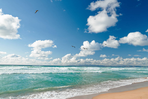 Miejsce na plaży. Piękny turkusowy ocean, zachmurzone niebo i stado latających ptaków - Zdjęcie, obraz