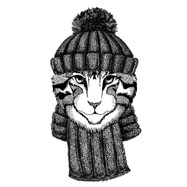 Obraz kota domowego Fajne zwierzę noszące czapkę zimową z dzianiny. Ciepłe nakrycie głowy czapka świąteczna na tatuaż, t-shirt, godło, odznaka, logo, łatka - Wektor, obraz