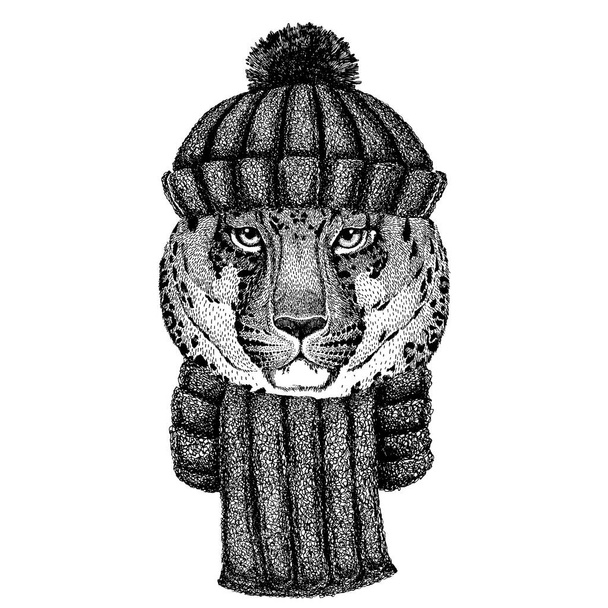 Wild cat Leopard Cat-o-mountain Panther Cool animal wearing pletený zimní klobouk. Teplá čelenka čepice na tetování, tričko, znak, odznak, logo, náplast - Vektor, obrázek