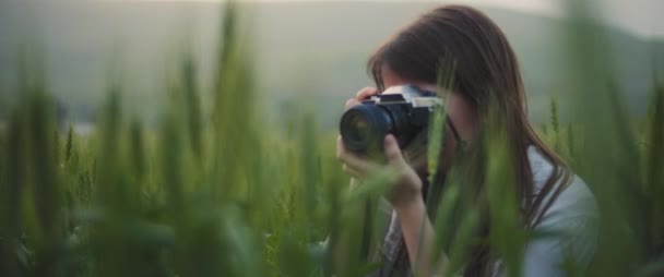 Ένα νεαρό κορίτσι τραβάει φωτογραφίες του τοπίου με vintage κάμερα στη μέση του σιταριού το ηλιοβασίλεμα. Κλείσε, πιο αργά, πιο αργά, πιο αργά. Περιπέτεια, τρόπος ζωής. BMPCC 4K  - Πλάνα, βίντεο
