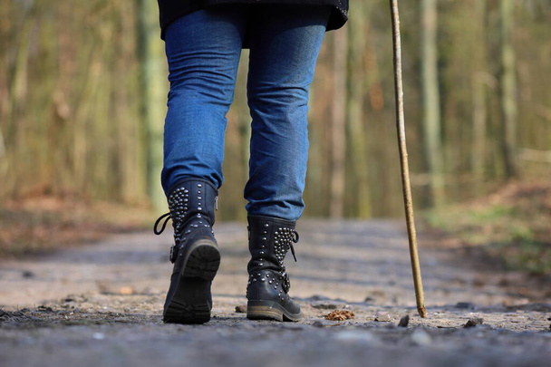 Polonya 'nın baharı, ormanda yürüyüşe çıkmış bir kadın. - Fotoğraf, Görsel
