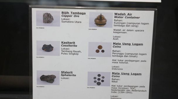 Fósseis de ossos de animais antigos localizados no Museu Geológico de Bandung
 - Foto, Imagem