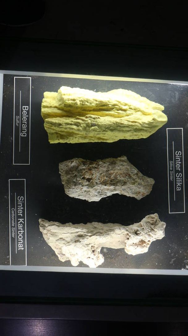 Скам "янілості стародавніх кісток тварин, знайдених у Геологічному музеї в Бандунзі. - Фото, зображення