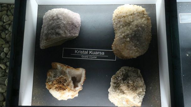 Fossilien antiker Tierknochen im Geologischen Museum von Bandung - Foto, Bild