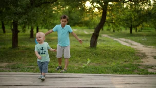 Söpöt veljet leikkivät kesäpuistossa. Hymyilevät sisarukset viettävät aikaa yhdessä - Materiaali, video