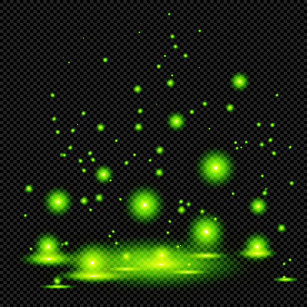Zielone świecące światła bagien lub eliksir czarownic na przejrzystym tle - Vector Bright Świecące świetliki   - Wektor, obraz