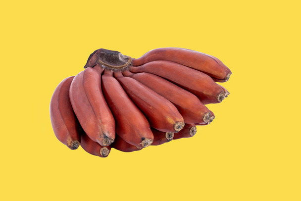 свежий красный банан изолирован на желтом фоне. группа сортов бананов с красновато-фиолетовой кожей. Moses acuminata Red Dacca. разнообразие содержит больше бета-каротина и витамина С, чем желтые бананы
 - Фото, изображение