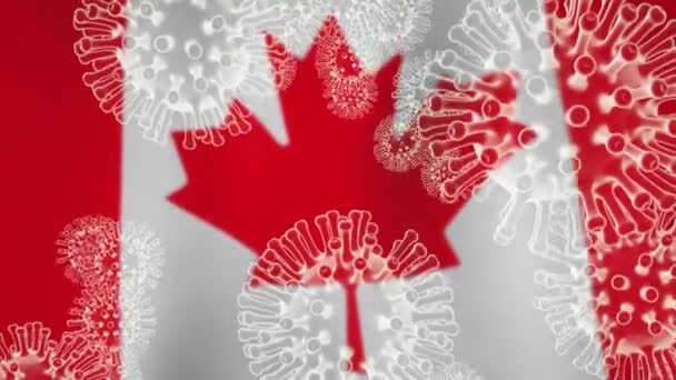Coronavirus canada epidemia covid-19 células de bloqueio. 2019-ncov quarentena canadense para parar o risco de contágio covid19 - animação 3d
 - Filmagem, Vídeo