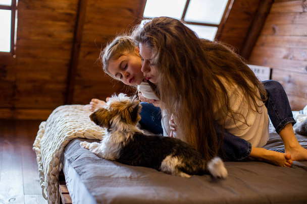 мать и дочь счастливо играют со своей собакой на кровати в мансарде деревянного загородного дома
 - Фото, изображение