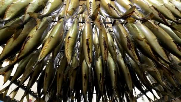 pescado colgar ahumado fábrica rack fila preparado
 - Metraje, vídeo