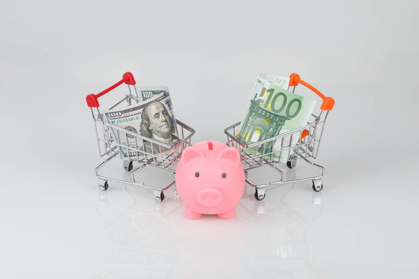 Mini shopping carts with dollar and euro, pink piggy money box near, money concept - Photo, image