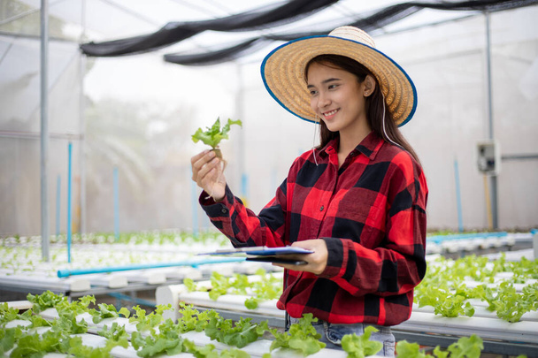 Ázsiai nő mezőgazdasági termelő használja tabletta és notebook ellenőrzésére minőségének ökológiai zöldségek termesztett hidroponikus. - Fotó, kép