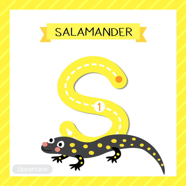 Letter S uppercase cute children colorful zoo and animals ABC alphabet tracing flashcard of Salamander for kids learning English vocabulary and handwriting vector illustration. - Vektori, kuva