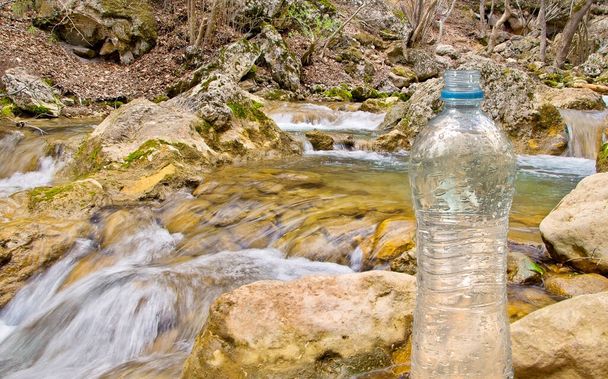 água de nascente e garrafa de plástico com água na floresta de primavera
 - Foto, Imagem