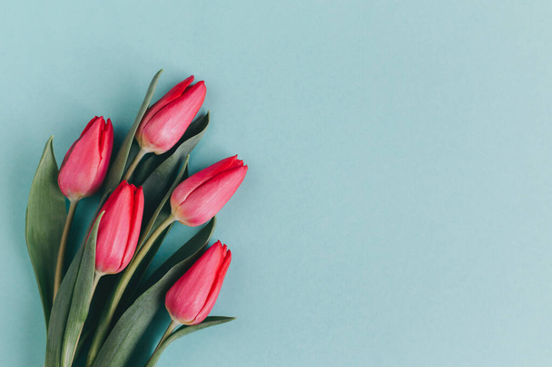 Zarte rot-rosa Tulpen auf pastelltürkisfarbenem Hintergrund. Grußkarte zum Muttertag. Flach lag er. Platz für Text.  - Foto, Bild