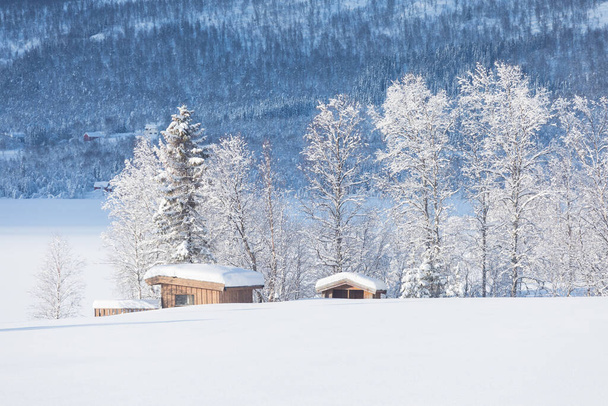 Csodálatos táj Miután az első hó a hegyen, Colorado, USA. Téli csodaország. Gyönyörű panoráma a havas országútra és a fák jegesednek, mint a fehér cukormáz. Karácsony van. - Fotó, kép