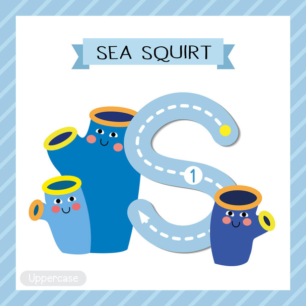 Letter S uppercase cute children colorful zoo and animals ABC alphabet tracing flashcard of Sea Squirt for kids learning English vocabulary and handwriting vector illustration. - Vektor, kép