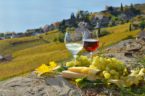 Due bicchieri da vino, formaggio e uva sulla terrazza del vigneto
 - Foto, immagini