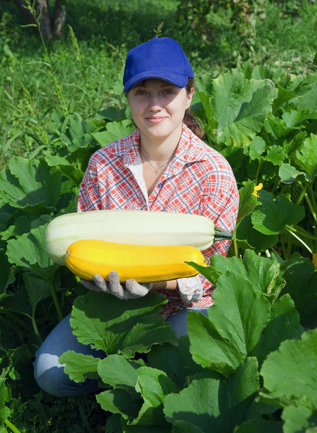 Girl picking marrow in the field - Photo, image