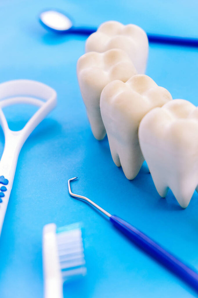 Hammasmalli ja hammashoitolaitteet sinisellä pohjalla, konsepti kuva hampaiden tausta. hampaiden hygienia tausta - Valokuva, kuva