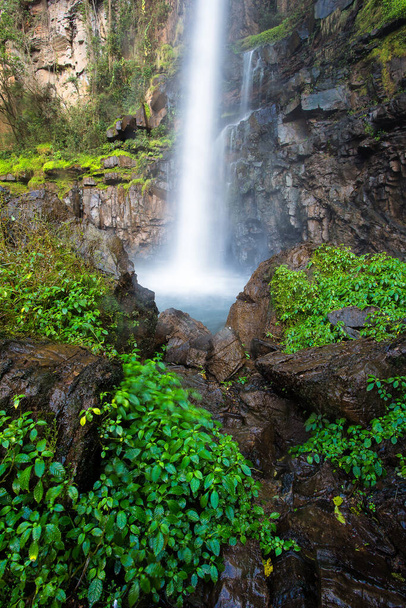 Vertical wide angle image of Lone Creek falls in the Sabie region of Mpumalanga Province in South Africa - Foto, Imagen