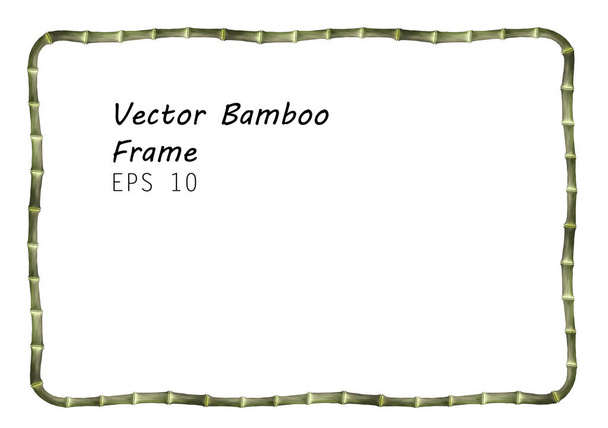 四角形の細い竹のフレーム-白い背景に隔離された現実的なベクトルグリーンのバナー - ベクター画像