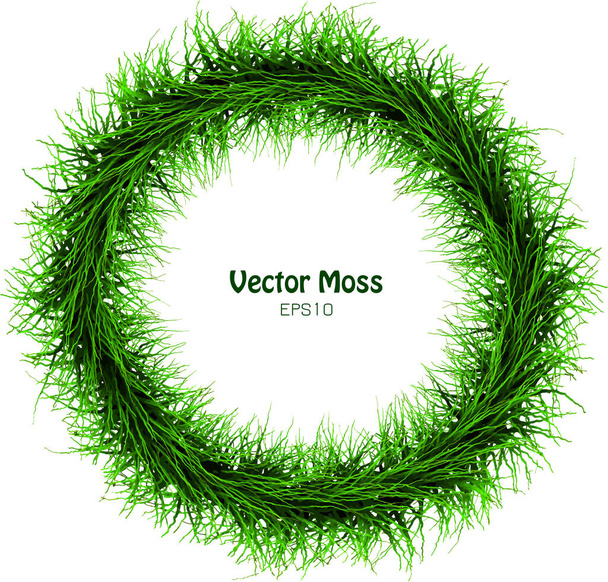 Vector Seaweed Garland - Rodada isolado Vegetative Grass Cadre - Herb Green Concept
  - Vetor, Imagem