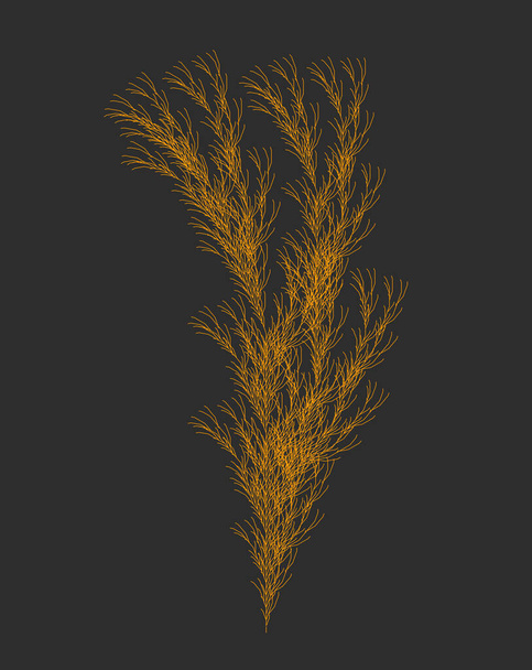 Vector Weed Generative Design - Plant Like L-system Mathematical Model - Διάνυσμα, εικόνα