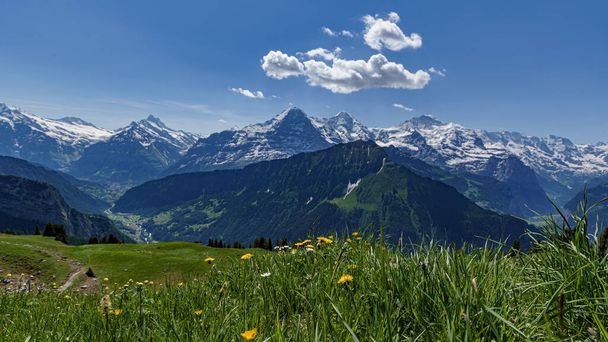 Πανοραμική θέα των ελβετικών Άλπεων Βουνά από το Schynige Platte κοντά στο βουνό Jungfrau στην Ελβετία - Φωτογραφία, εικόνα