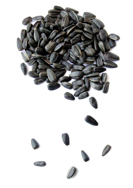 Black small sunflower seeds.  Handful of seeds. - Photo, Image