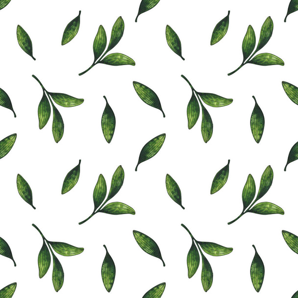 Green leaf. Seamless pattern with a watercolor illustration on a white background. Eco-friendly plant ornament. Minimalistic, chaotic pattern for a stylish print. - Foto, immagini