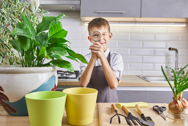 Cute little gardener with a plants indoors. The boy takes care of the plants at home. - Foto, Imagen