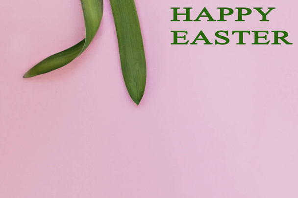 Nyúl fül természetes zöld levelekből rózsaszín alapon. Az ortodox és katolikus ünnepek tavaszának szimbóluma. A minimalizmus fogalma.Szöveg a fotón Boldog Húsvétot  - Fotó, kép