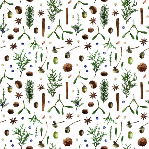 Botanical watercolor seamless pattern isolated on white background. Christmas floral pattern with mistletoe, acorn, needles, thuja, cinnamon for your design, textile and other. - Photo, image