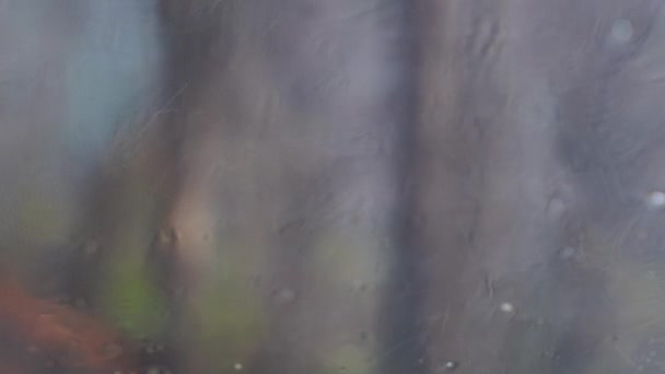Rain drops on window glass of a car with the blurry scene of the trees in the forest - Filmmaterial, Video