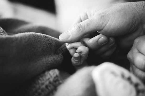 close up photo of newborn babys hand and father - Foto, immagini