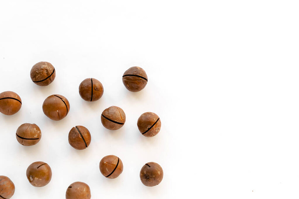Macadamia nuts in the shell isolated on a white background close-up. - Foto, afbeelding