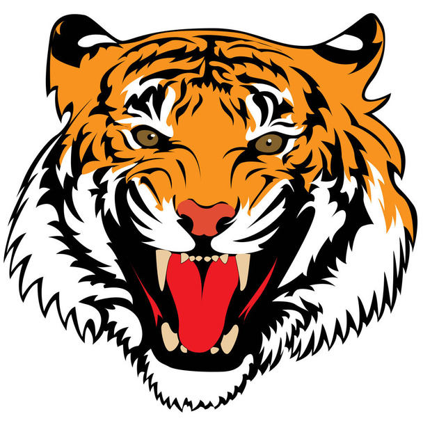 Cabeça de tigre com boca aberta
 - Vetor, Imagem