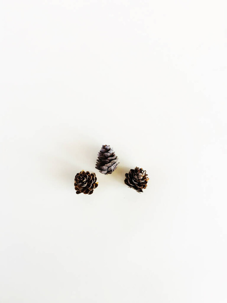 pine cones on a white background - Foto, Imagem