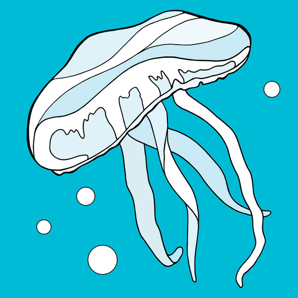 Meduse colorate. Illustrazione vettoriale disegnata a mano su sfondo blu acqua. Medusa con bolle di design per carte, stampa, decorazione, pacchetto, banner, manifesti
 - Vettoriali, immagini