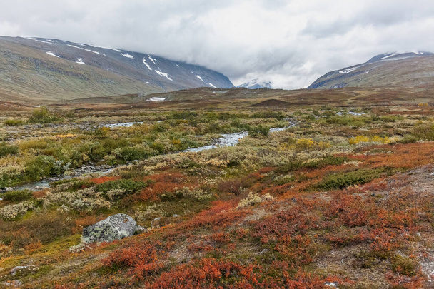 Beautiful wild nature of Sarek national park in Sweden Lapland with snow capped mountain peaks, river and lake, birch and spruce tree forest. Early autumn colors in stormy weather. selective focus - Foto, Imagem