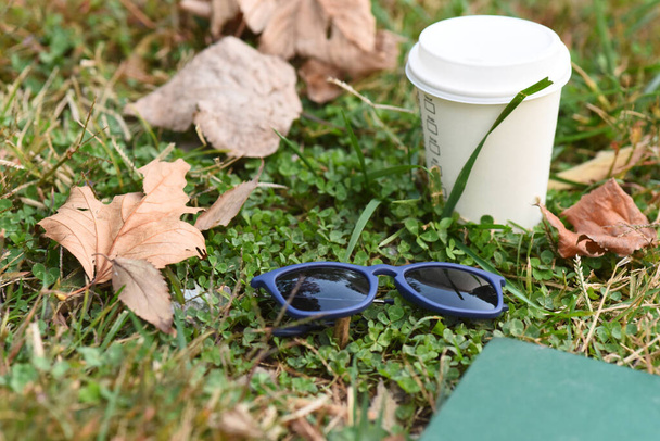 Zonnebrillen brillen in natuurpark buiten op houten tafel - Foto, afbeelding