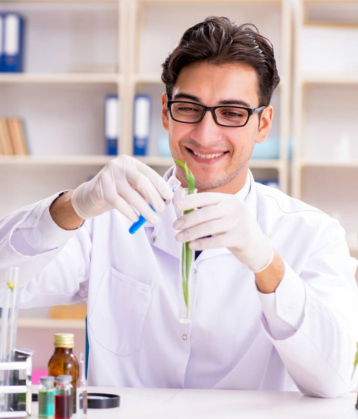 The biotechnology scientist chemist working in lab - 写真・画像