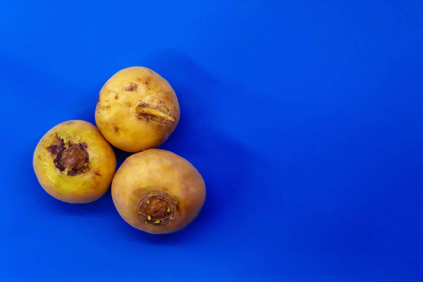 On a blue background are vegetables. Fresh turnip from three pieces - Фото, зображення