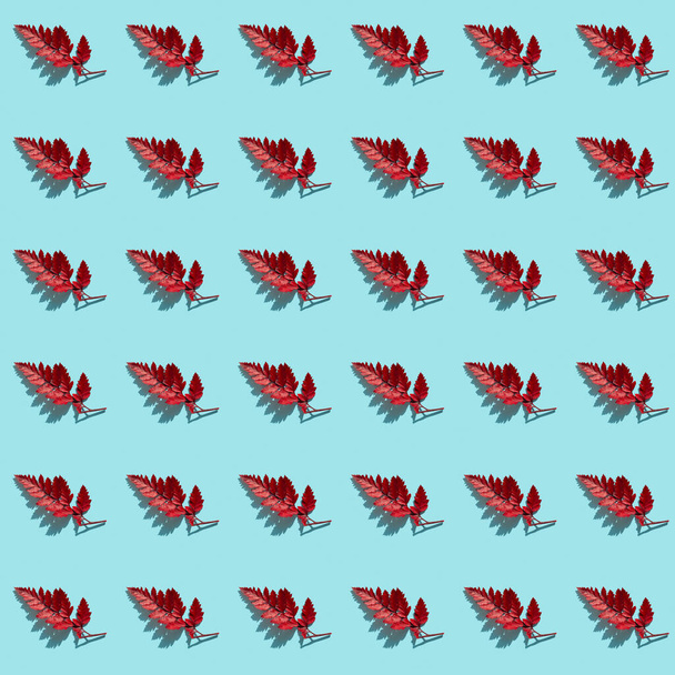 Feuilles de fougère rouge sans couture sur fond turquoise, plan plat, vue sur le dessus
 - Photo, image