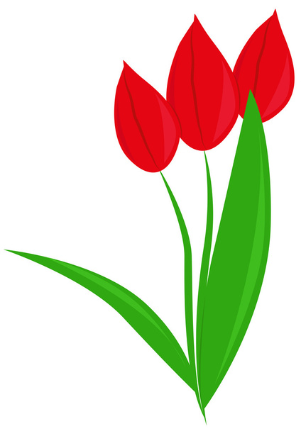 Tulipes rouges
 - Vecteur, image