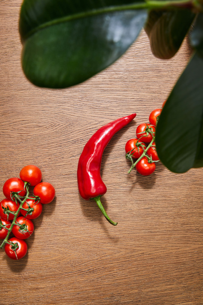 Selective focus of green leaves, cherry tomatoes and chili pepper on wooden background - Fotografie, Obrázek