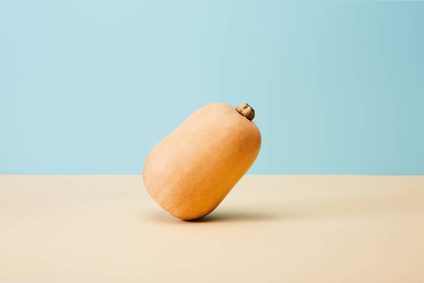 fresh ripe pumpkin on blue and beige   - Valokuva, kuva