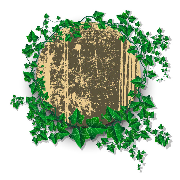 Ivy leaf decorated grunge rounded banner - Vector, Imagen