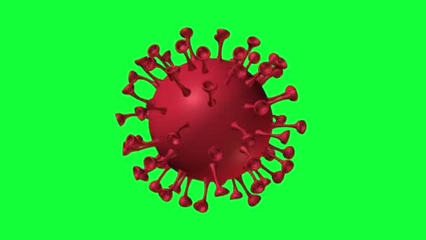 Wirus Corona covid-19 spinning animacja zielony ekran chroma klucz pętla - Materiał filmowy, wideo